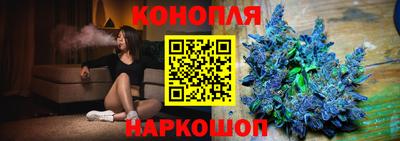 прущие грибы Шахты