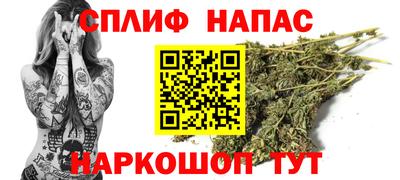 прущие грибы Шахты