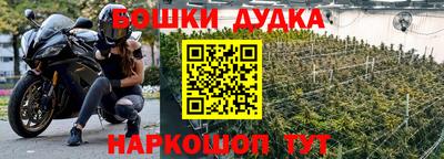 прущие грибы Шахты
